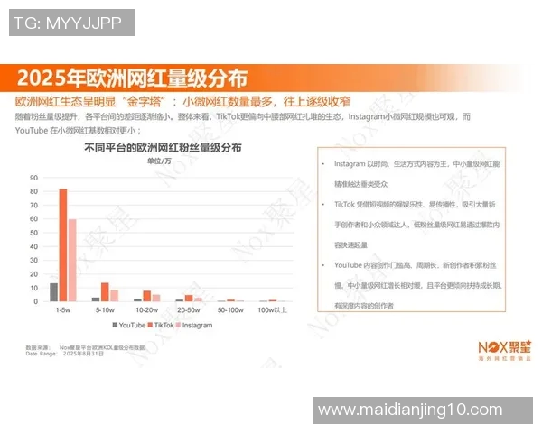 数据分析Instagram平台实力表现及其对品牌营销的影响探讨 数据分析Instagram平台实力表现及其对品牌营销的影响探讨