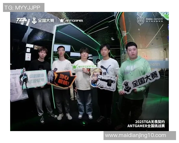 全球挑战赛中WE战队战术表现分析与点评探讨