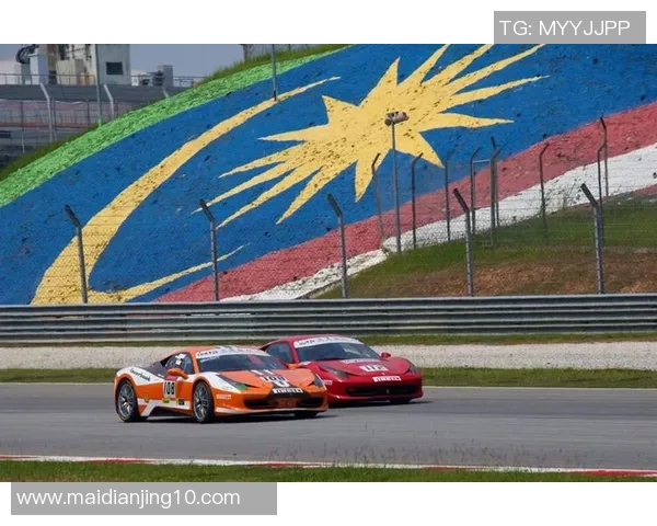 全球挑战赛分析WE战队在耐力赛中的表现与未来发展潜力